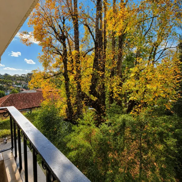vista suite varanda